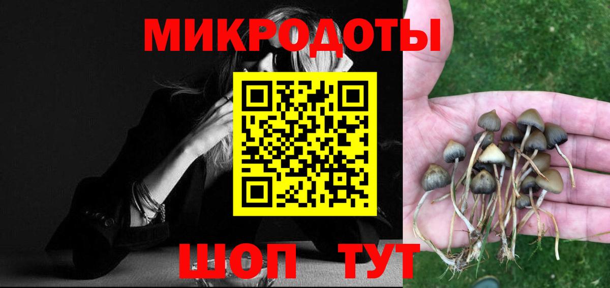 Галлюциногенные грибы MAGIC MUSHROOMS Тавда